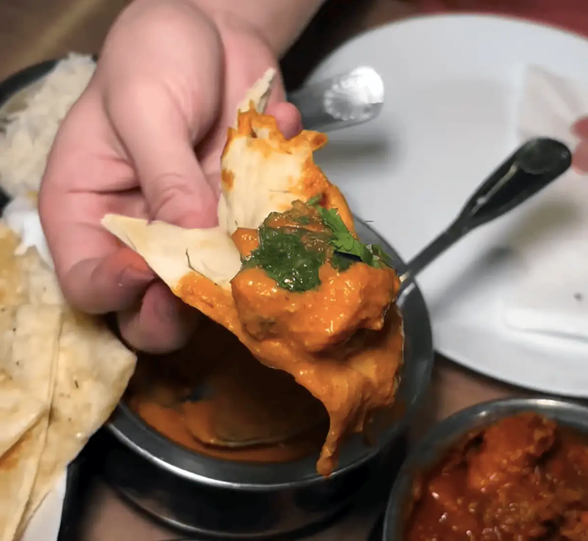 Close-up of naan dipping into curry